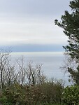 IMG_3362