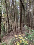IMG_3361