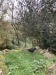 IMG_3360