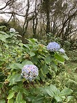 IMG_3359