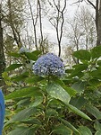IMG_3358