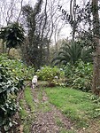 IMG_3357