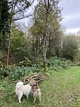 IMG_3355