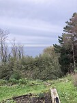 IMG_3354
