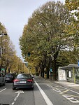 IMG_3352