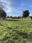 IMG_3377