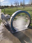 IMG_3379