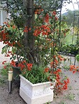 IMG_3405
