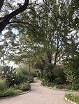 IMG_3403