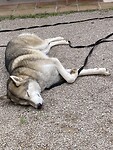 IMG_3396