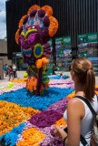 Feria de las Flores