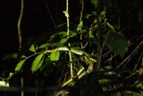 DSC04604