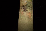 DSC04620