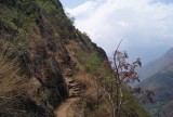 Inca-trail (one of the many)