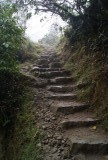 The Inca-stairs naar boven