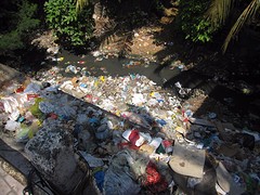 If you look beside the street in Cebu City..