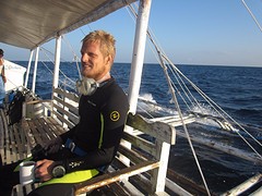 Early morning dive