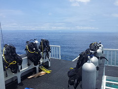 The scuba gear
