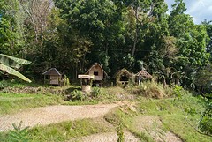 Bamboo houses