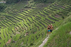 Batad rice terraces