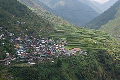 Bayyo rice terraces