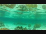 Snorkeling San Blas