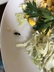 Lokale gastronomie
