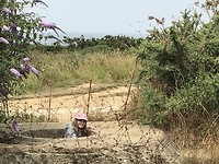la pointe du hoc