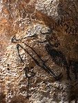 man met vogelkop