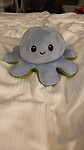 De octopus van Elise