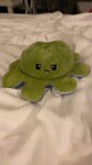 De boze octopus van Elise