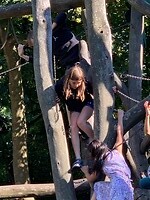 Klimmen en klauteren
