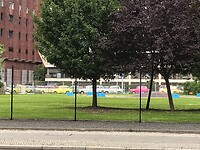 Trabantjes in alle kleuren
