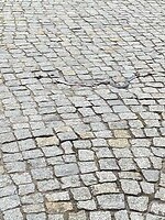 Platgereden slang nog van Potsdam