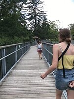 Op weg naar het Baumwimpfelpad