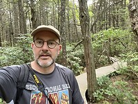 White cedar swamp trail