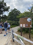White cedar swamp trail