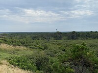 Woeste natuur
