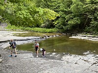 Watkin Glens