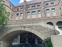 Museum of Natural history