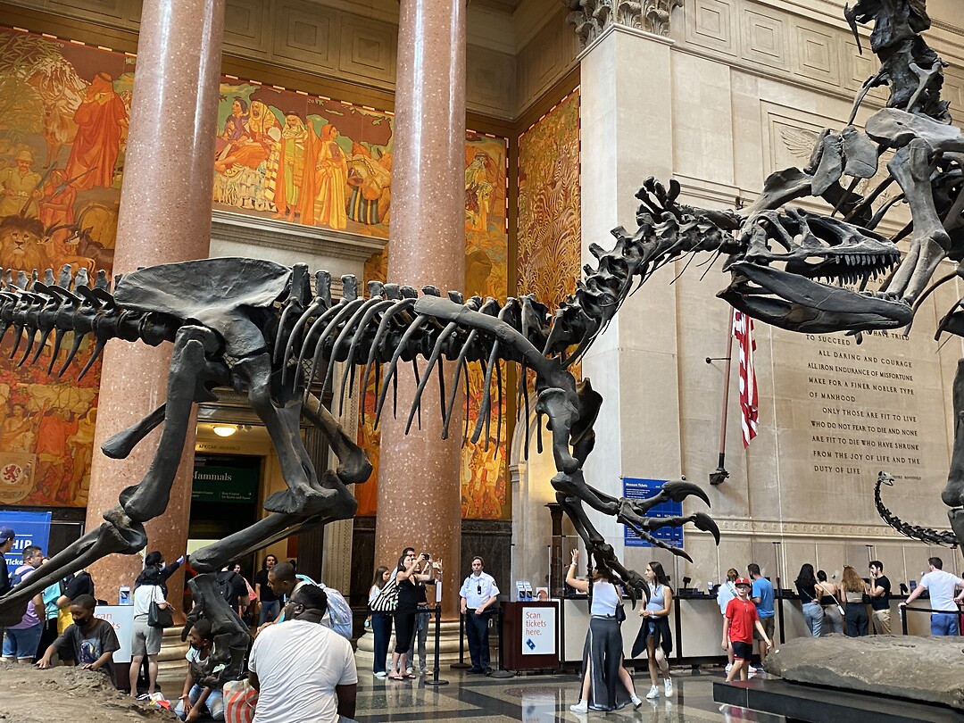 Dinos