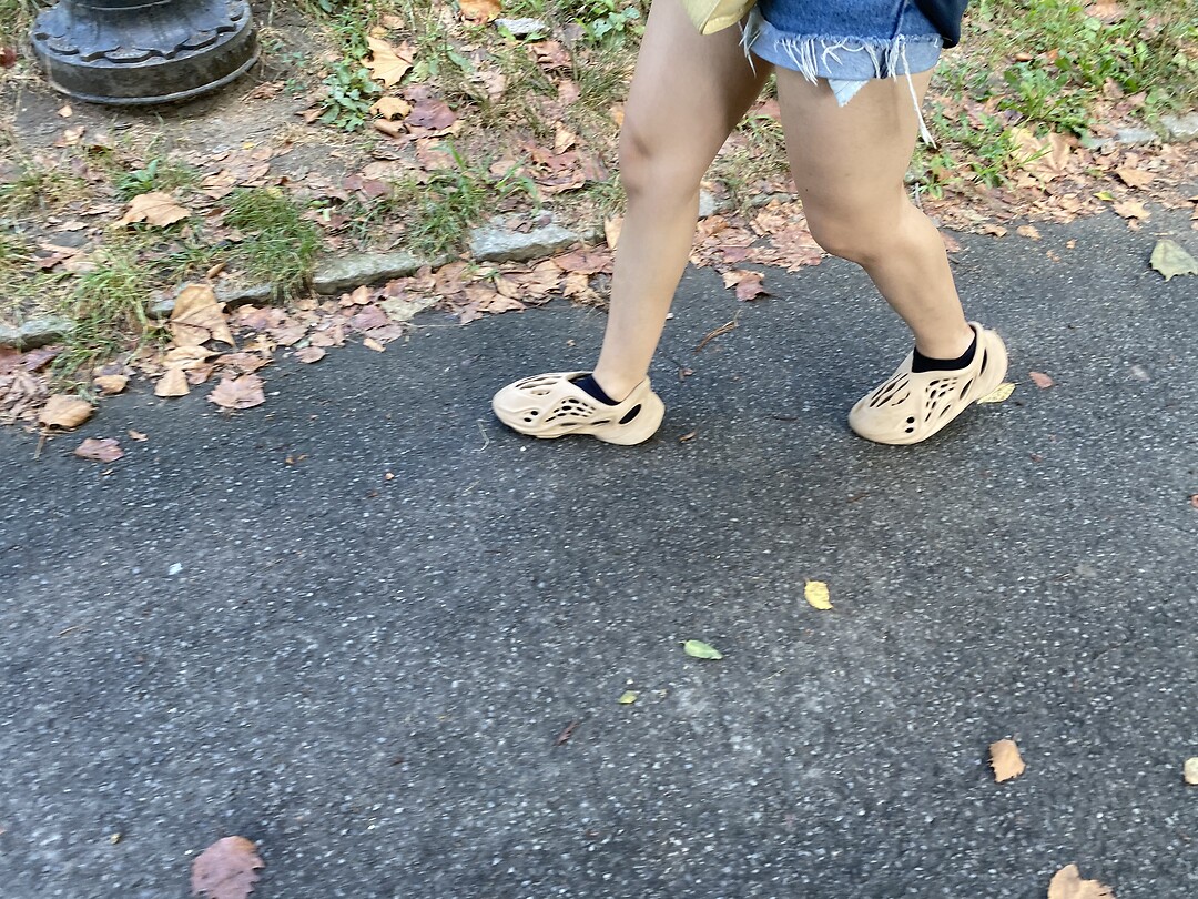 Dino schoenen?