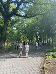 A walk in the (central) park