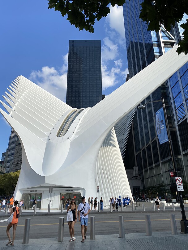 Oculus