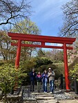 De japanse tuin van Kaiserlautern