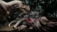 Dino ´s
