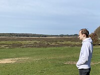 De heide