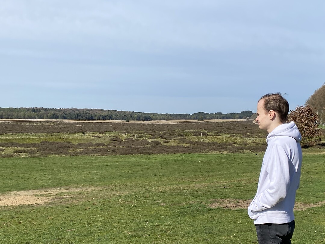 De heide