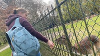 Gras geven aan de reetjes