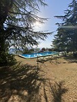 De pool